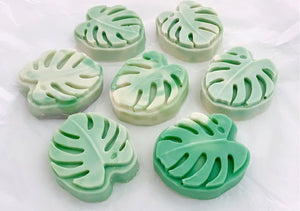 Aloe Vera Soap-Lush Succulent fragrance